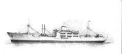 1961 - Paolo d'Amico